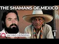 The Shamans Of Mexico - book by Dr JACOBO GRINBERG
