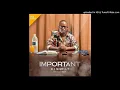 Download Lagu VEE MAMPEEZY - IMPORTANT ( prod by Dr Tawanda)