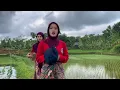 Download Lagu PERAWAN DESA CANTIK JALAN - JALAN KELILING KAMPUNG TERPENCIL DI PELOSOK PEDESAAN SUKABUMI