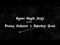 Download Lagu Ngawi Nagih Janji - Denny Caknan × Ndarboy Genk || Lirik Lagu