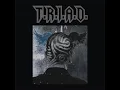 Download Lagu T.R.I.A.D - Indonesia Pusaka