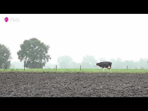 Boeren bij Natura2000: “Wat hebben we fout gedaan?”