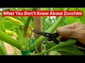 Download Lagu Je kweekt waarschijnlijk geen courgette op deze manier! PLUS tuinierwijsheid die je waarschijnlij...