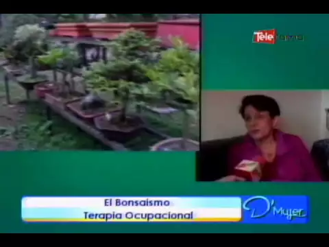 El Bonsaismo terapia ocupacional