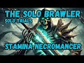 Solo Stamina Necromancer U45