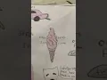 Download Lagu DEJA VU LYRICS ART! #drawing #art #oliviarodrigo #dejavu  @OliviaRodrigo @Surrealart_noa #shorts