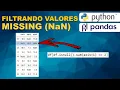 Python PANDAS - Como filtrar valores missing nan