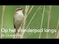 Download Lagu Vogels kijken vanaf het vlonder langs de Zouwendijk #1562