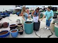 NFM Live Pots-A-Palooza