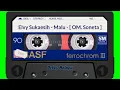 Elvy Sukaesih - Malu - [ OM. Soneta ]
