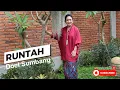 Download Lagu Titiek Soeharto - Runtah (Cover) Doel Sumbang