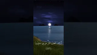 ٱلل ه و ل ي ٱل ذ ين ء ام ن وا تلاوه هادئه خاشعه محمد ديبيروف 