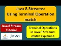 Java 8 Streams Using Terminal Operation match Streams in Java 8