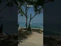 Download Lagu lirik lagu karna su sayang