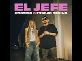 El Jefe - Shakira & Fuerza Regida