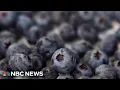 FDA upgrades frozen berry recall to highest risk level
