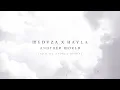 MEDUZA & HAYLA - Another World (Nico De Andrea remix) (Official Visualiser)