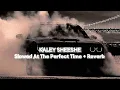 Download Lagu KALEY SHEESHE - Addy Nagar [Slowed At The Perfect Time + Reverb]
