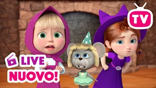 🔴 LIVE! Anteprima 💥 Un dentino da latte 🪄🦷🧚 Nuovo episodio 💥 Masha e Orso