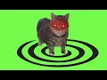 Download Lagu 🔴 OiiA OiiA (Spinning Cat) Hard Techno, Schranz Remix – OR3H1N \u0026 DJ Troll