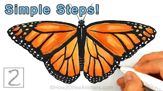 Easy Way to Draw a Monarch Butterfly Using Simple Shapes