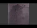 Download Lagu Fire Bloomed from Frost