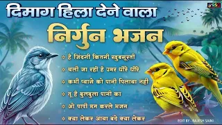 लाखो करोडों लोगो का जीवन बदल दिया इन भजनों ने | Nonstop Satsangi Bhajan | Nirgun Bhajan 2026
