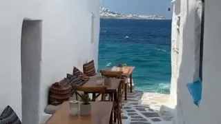 عصفور طل من شباك حالات واتس اب 