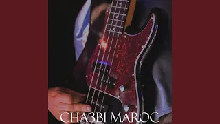 شعبي نايضة لجميع الأفراح والأعراس 