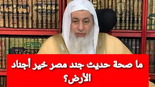 ما صحة حديث جند مصر خير أجناد الأرض الشيخ مصطفى العدوي دندنها