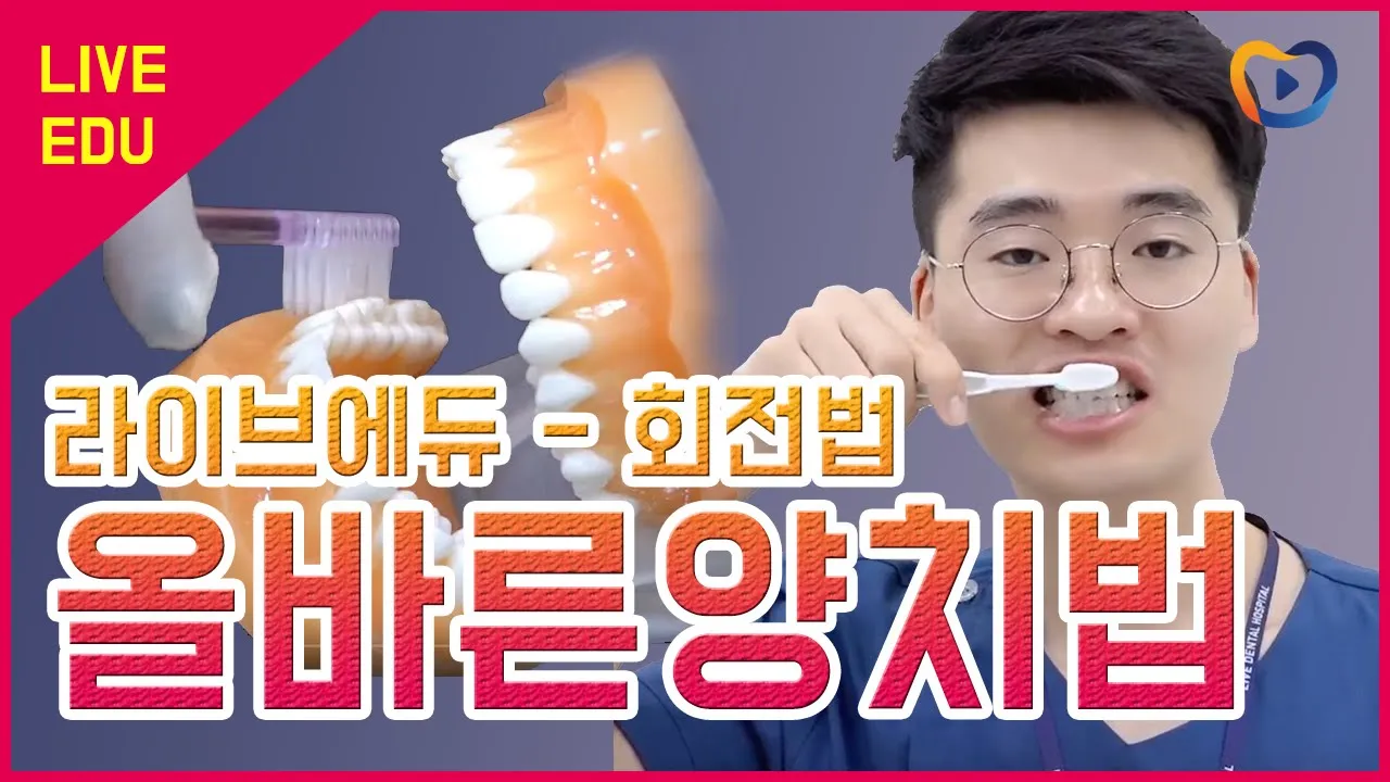 [라이브에듀]  회전법 - 올바른 양치법, 잇솔질