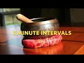 Tibetan Singing Bowl 3 Minute Intervals 1 Hour Meditation Timer
