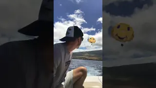 Would you try this? 🚤🪂#parasailing  #maui # Hawaii #sailingbyefelicia