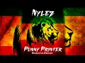 Nylez - Punny Printer (Moombahton Bootleg)