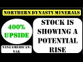 Northern Dynasty Minerals Stock is showing a potential rise - nak stock