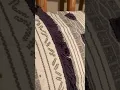 INK IVY Cody Cotton Comforter Set Geometric Transitional Design Review Sassy Not to feminine Elega