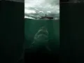 Download Lagu Thalassophobia