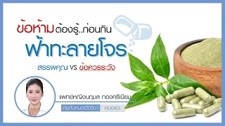 ฟ้าทะลายโจรใช้รักษาอาการอะไรได้บ้าง และมีกลไกการออกฤทธิ์อย่างไร