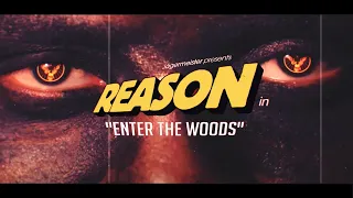 reasonhd music video official enter the woods