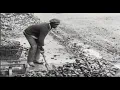 New York s Forgotten Oyster History Documentary Clip