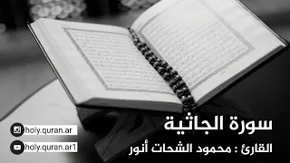 سورة الجاثية القارئ محمود الشحات أنور 