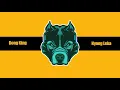 Download Lagu Free Beat | Dog King | NYONG LEKA