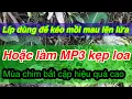 Download Lagu Tiếng Quốc mồi chuẩn dùng kích chim mồi mau lên lửa .Dùng làm mp3 kẹp loa hiệu quả cao