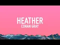 Download Lagu Conan Gray - Heather (Lyrics)