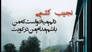 نجیب کشمی دلم میخواست که من باشم 
