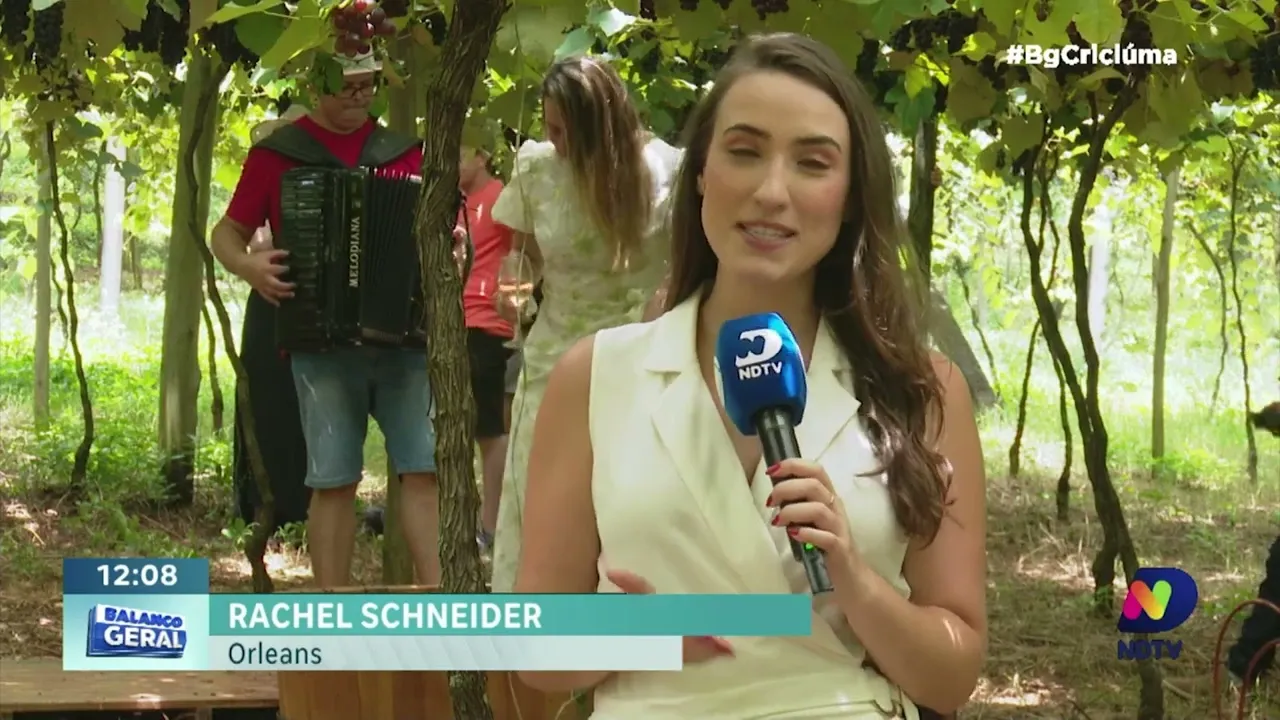 Tradição e turismo: sul do estado celebra a tradicional Vindima Goethe recebendo diversos turistas