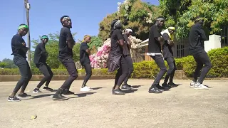 teni case f b i dance cover