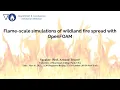 Flame scale simulations of wildland fire spread with OpenFOAM