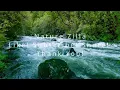 4K Primordial Forest River Flowing 🌿 Relaxing Water Sounds. White Noise for Sleep, Study, Meditation