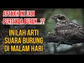 Download Lagu APAKAH AKHIR2 INI MENDENGAR SUARA BURUNG DI MALAM HARI ?? INILAH ARTI SUARA BURUNG DI MALAM HARI